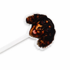 Custom Pet Drink Stirrers | Personalized Dog, Cat & Pet Cocktail Stirrers