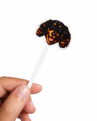 Custom Pet Drink Stirrers | Personalized Dog, Cat & Pet Cocktail Stirrers